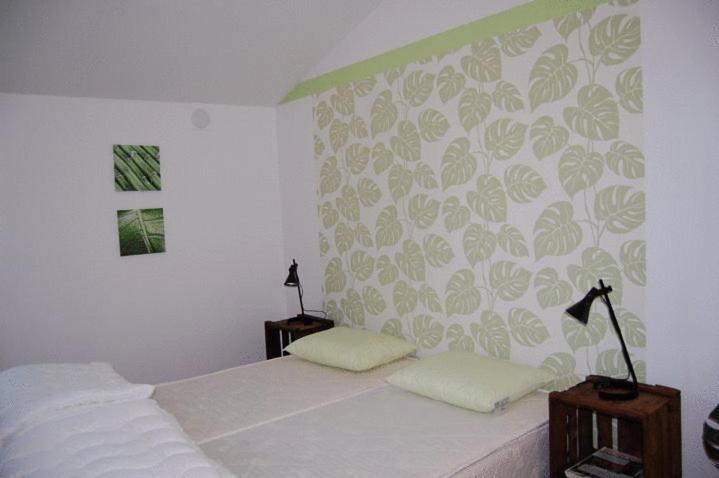 Vanga Hostel المظهر الخارجي الصورة